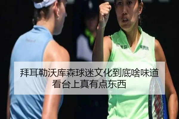 拜耳勒沃库森球迷文化到底啥味道 看台上真有点东西