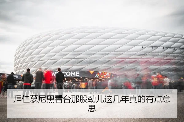 拜仁慕尼黑看台那股劲儿这几年真的有点意思