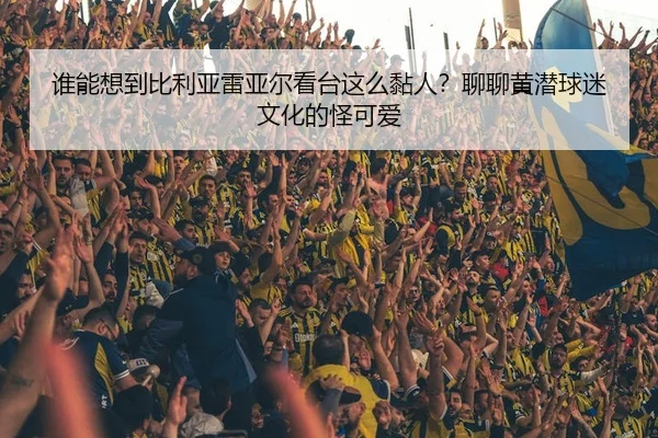 谁能想到比利亚雷亚尔看台这么黏人？聊聊黄潜球迷文化的怪可爱