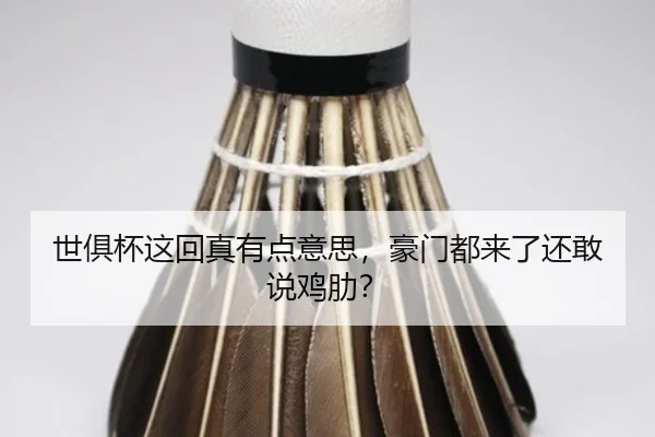 shi-ju-bei-zhe-hui-zhen-you-dian-yi-si-hao-men-dou-lai-le-hai-gan-shuo-ji-lei-2-334.jpg