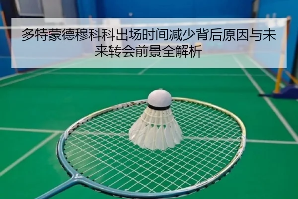 多特蒙德穆科科出场时间减少背后原因与未来转会前景全解析