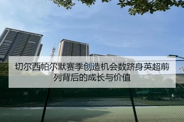 切尔西帕尔默赛季创造机会数跻身英超前列背后的成长与价值