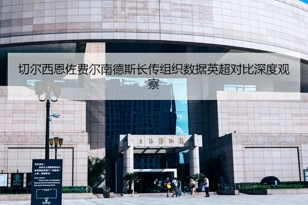切尔西恩佐费尔南德斯长传组织数据英超对比深度观察
