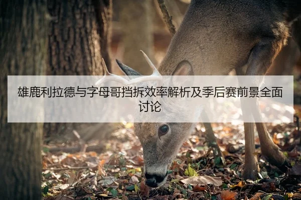 雄鹿利拉德与字母哥挡拆效率解析及季后赛前景全面讨论