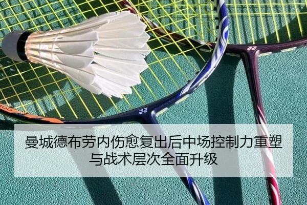img_1780358358090_2336_0_733.jpg（leyu）