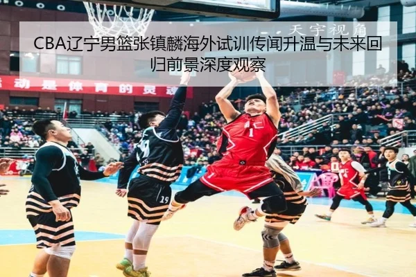 CBA辽宁男篮张镇麟海外试训传闻升温与未来回归前景深度观察