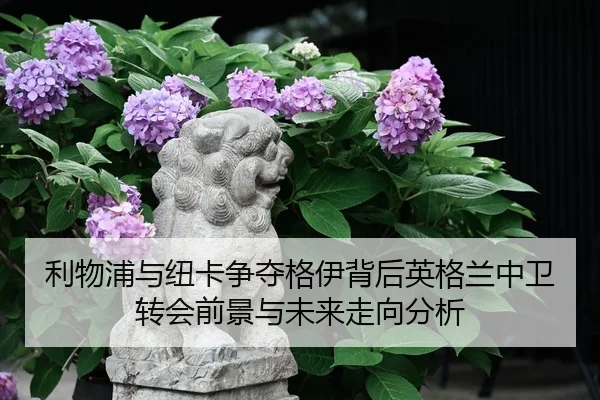 利物浦与纽卡争夺格伊背后英格兰中卫转会前景与未来走向分析