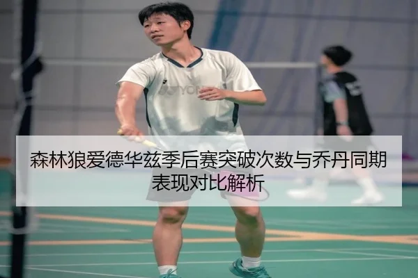 森林狼爱德华兹季后赛突破次数与乔丹同期表现对比解析